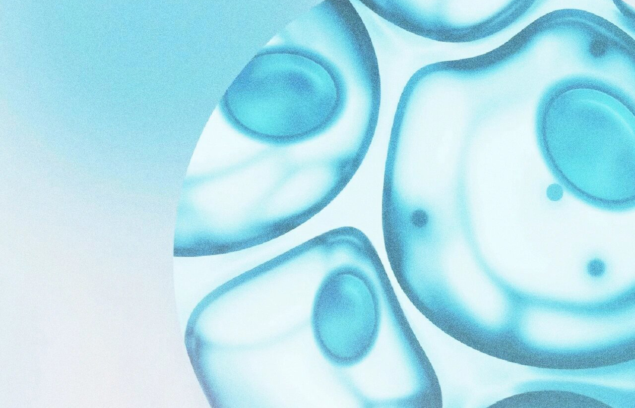 食品级乳酸的萃取分离